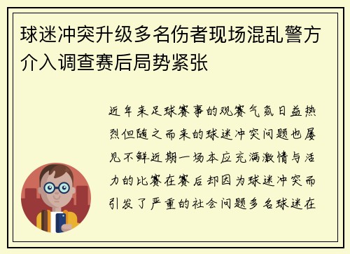 球迷冲突升级多名伤者现场混乱警方介入调查赛后局势紧张